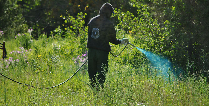 WEED CONTROL