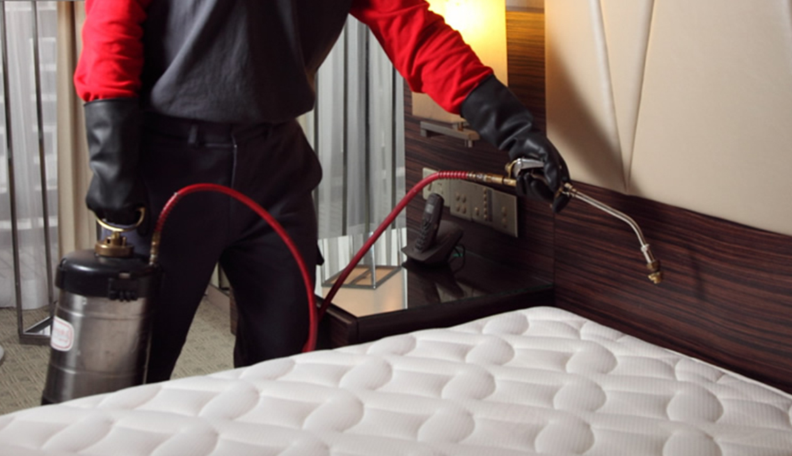 Bed Bug Control