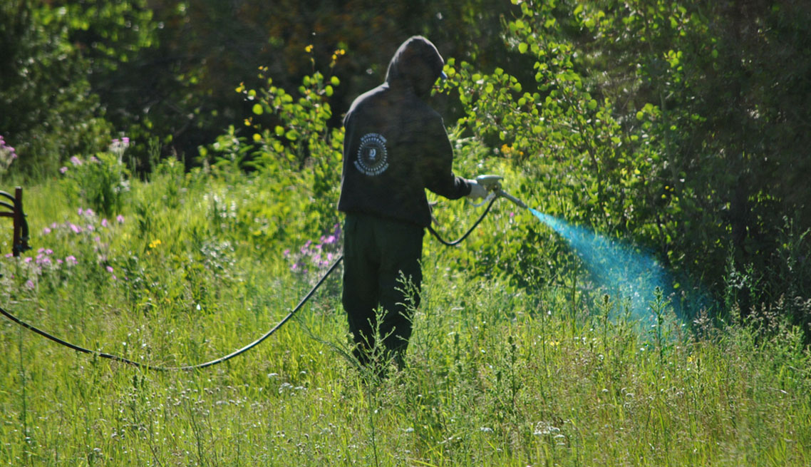 Weed Control