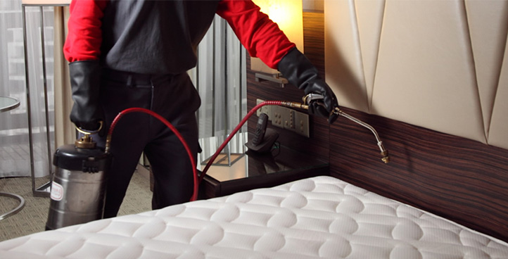 BED BUG CONTROL